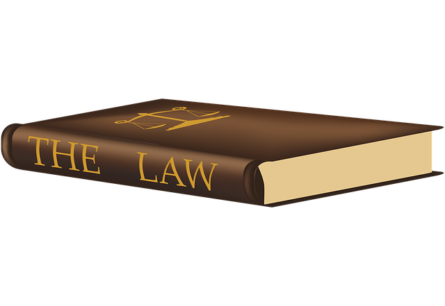 constitution
